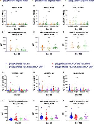 Frontiers | The Interaction of HLA-C1/KIR2DL2/L3 Promoted KIR2DL2